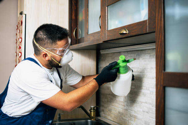 Wasp Removal Services in Yellville, AR