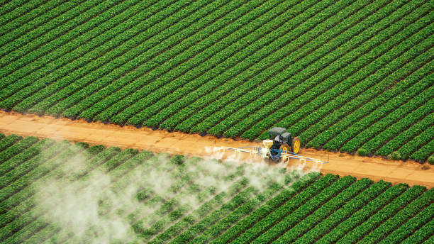 Best Commercial Pest Control Services  in Yellville, AR